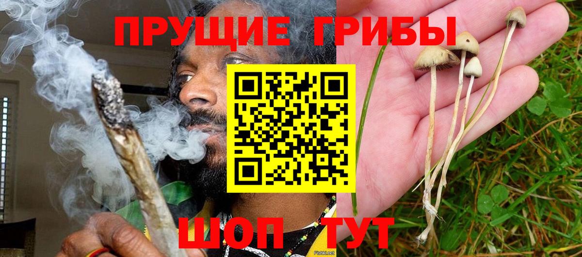 Гашиш Новотроицк