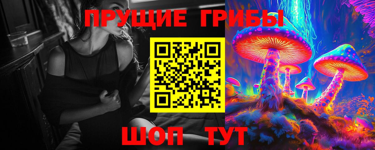 Галлюциногенные грибы GOLDEN TEACHER  Галлюциногенные грибы Psilocybe  Новотроицк  Вход с VPN 